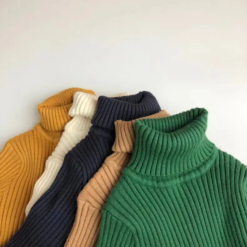 Blake Turtleneck Knitted Sweater