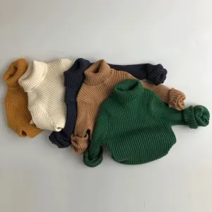 Blake Turtleneck Knitted Sweater